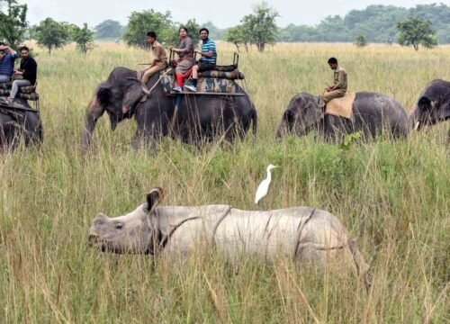 Kaziranga(2N), Majuli(2N), Sibasagar(2N), Guwahati(2N) (8N/9D) - CODE ( 5 )